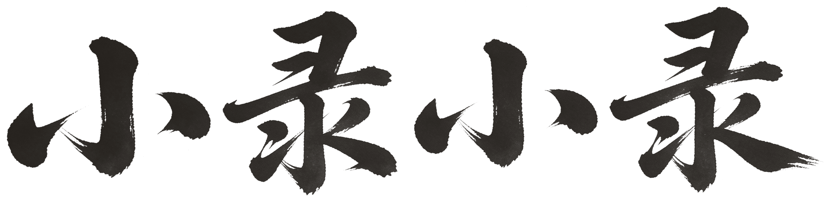 小录小录